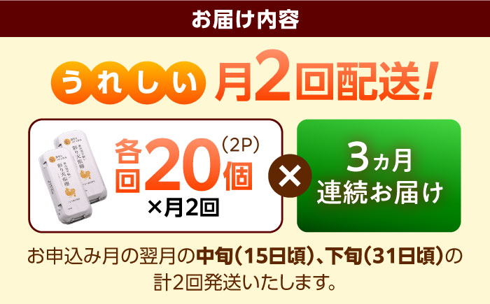 《月2回 × 20個 3ヶ月コース》 たたらの里平飼い 彩り天佑卵 全6回定期便 島根県雲南市/株式会社たなべたたらの里（たなべ森の鶏舎）｜たまご 卵 放牧卵 平飼い卵 新鮮 国産 定期便 [AIDL021]