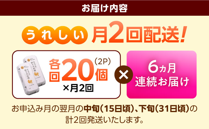 《月2回 × 20個 6ヶ月コース》 たたらの里平飼い 彩り天佑卵 全12回定期便 島根県雲南市/株式会社たなべたたらの里（たなべ森の鶏舎）｜たまご 卵 放牧卵 平飼い卵 新鮮 国産 定期便 [AIDL022]