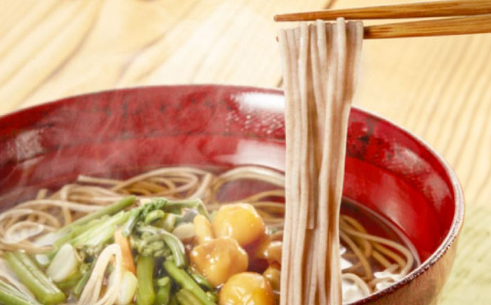 【レンジで時短！】出雲そばと釜揚げうどんセット 各5食つゆ付 本格的 簡単調理 忙しい人向け ギフト 島根県雲南市/有限会社本田商店 [AIDS006]