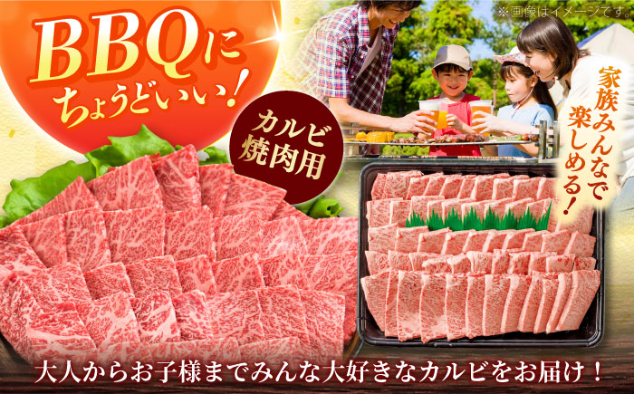 【焼肉におすすめ!】しまね和牛カルビ 1kg(500g×２) 和牛 牛肉 国産 国産牛 赤身 焼肉 ステーキ スライス 人気 黒毛和牛 BBQ ギフト 島根県雲南市/フジキコーポーレーション株式会社 [AIEA011]