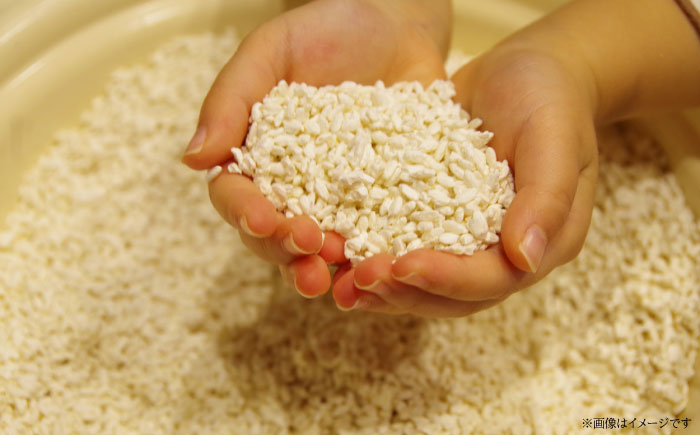 【雲南市産米使用】熟成生みそ（大）900g×3個 味噌 みそ 国産 生みそ 熟成みそ 味噌汁 みそ汁 セット 島根県雲南市/株式会社大東農産加工場 [AIEG007]