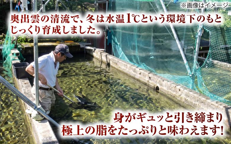 奥出雲サーモンの冷薫スモーク 100g×3パック | サーモン 冷薫スモーク 加工品 海鮮　国産 島根県雲南市/結システム [AIEW005]