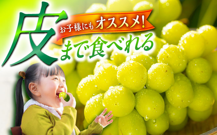 【2025年先行予約】【8月初旬頃から順次発送】皮ごと食べれる！シャインマスカット 2房 約800g 島根県雲南市/池田ぶどう農園　 [AIAA002]