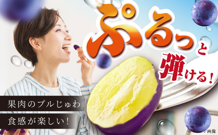 【2025年先行予約】【8月初旬頃から順次発送】溢れる果汁がたまらない！巨峰 2房 約700g 島根県雲南市/池田ぶどう農園　 [AIAA003]