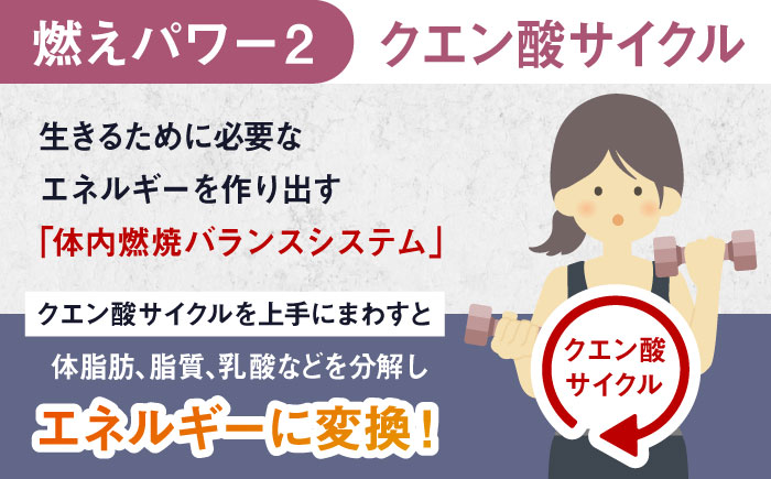 ALPRON SLIM 燃え燃え 450g グレープフルーツ風味 1個 筋トレ 健康 サプリ 島根県雲南市/株式会社アルプロン [AIAL084]