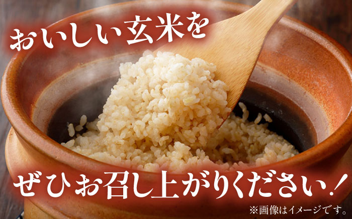 【先行予約】【2025年11月より発送】新米 上久野産コシヒカリ 玄米 10kg 産地直送 島根県雲南市/株式会社かみくの桃源郷[AIAN003]玄米