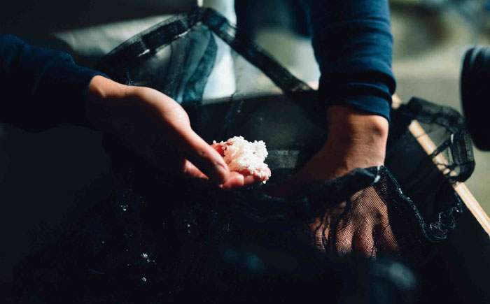 【先行予約】【10個限定】【2026年2月初旬順次発送】理八 The RIHACHI 純米吟醸 酵母901号＆酵母1801号 720ml×2本セット(化粧箱入り) 日本酒 酒 4合 島根県雲南市/株式会社田部竹下酒造 [AIBE001]