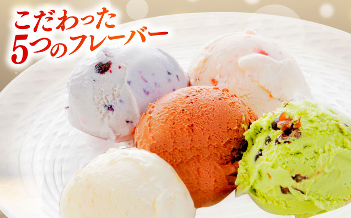ご褒美アイスにぴったり！VANAGA 5種類のアイスクリーム12個入り 島根県雲南市/木次乳業有限会社 [AIBH008]