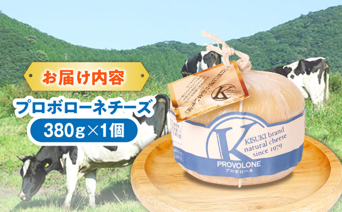 プロボローネチーズ 1個 380g | チーズ 乳製品 人気 おすすめ 島根県雲南市/木次乳業有限会社 [AIBH018]