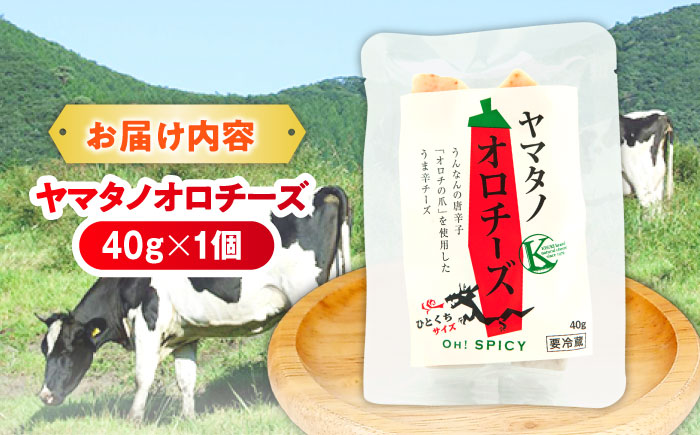 ヤマタノオロチーズ 1個 40g | チーズ 乳製品 人気 おすすめ 島根県雲南市/木次乳業有限会社 [AIBH020]