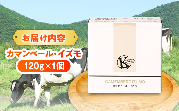 カマンベール・イズモ 1個 120g | チーズ 人気 おすすめ 乳製品 島根県雲南市/木次乳業有限会社 [AIBH022]