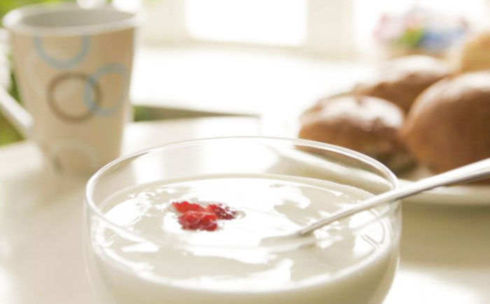 プレーンヨーグルト14個セット ヨーグルト プレーン 無糖 ギフト プレゼント スイーツ 人気 大容量 島根県雲南市/木次乳業有限会社 [AIBH034]