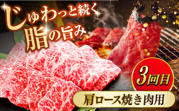 【全3回定期便】【奥出雲和牛】3種プレミアム定期便 サーロインステーキ 600g（200g×3枚）・肩ロースすき焼き用 600g×1P・肩ロース焼き肉用 600g×1P 黒毛和牛 ブランド牛 贅沢 セット 島根県雲南市/島根県農業協同組合　雲南地区本部 畜産加工所 [AIBQ016]