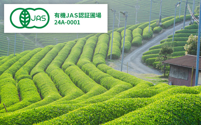 ふるさとの味 あんがいまいよ 煎茶・和紅茶 4点セット 飲み比べ ギフト お歳暮 お中元 島根県雲南市/砂子原茶業組合 [AIBV003]