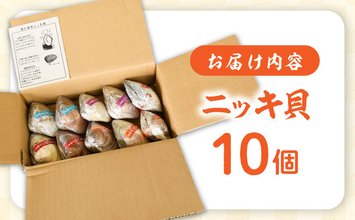 西八製菓 ニッキ貝 10個 だがし おやつ  島根県雲南市/西八製菓株式会社[AICA006]