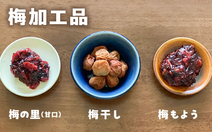 ３種の米を食べ比べ! 「やま里の恵み」詰合セット 米 こしひかり つや姫 きぬむすめ 梅 味噌 ジャム はちみつ 島根県雲南市/農事組合法人フレッシュファーム神代 [AICC002]