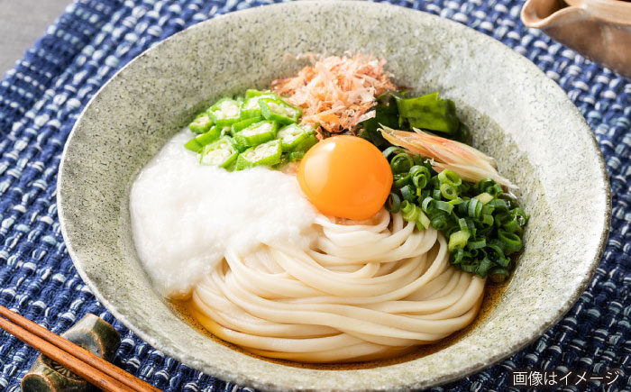 雲南の干しうどん(平麺) 250g×15袋  | 干しうどん うどん 麺  雲南 島根県雲南市/野々村製粉製麺所 [AICE001]