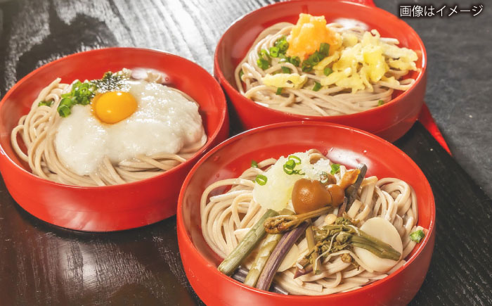 昔ながらの出雲そば 250g×12袋 | そば 出雲そば 麺 出雲 島根県雲南市/野々村製粉製麺所 [AICE002]