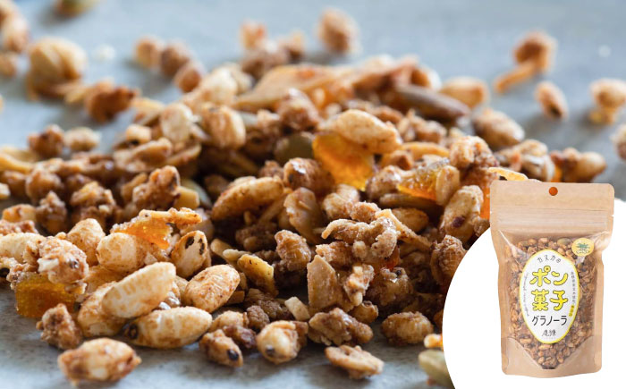 ポン菓子グラノーラ3点セット（オリジナル・黒豆きなこ・出西しょうが）シリアル ぽん菓子 島根県雲南市/発酵菓子カヌカ[AICH001]