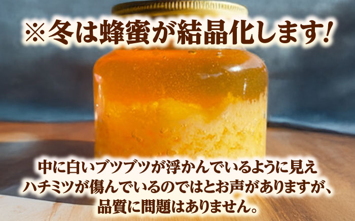 希少な天然日本ミツバチの「はちみつ」 400ml×1個 島根県雲南市/みやのしたハチミツ｜蜂蜜 国産 はちみつ ハチミツ[AICL002]