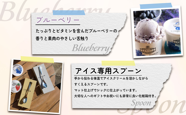 VANAGAプレミアムご当地アイス24個とアイス専用スプーン（ゴールド1本・シルバー1本）の26点セット | アイスクリーム アイス 濃厚 バニラ デザート 島根県雲南市/やまざと.com[AICN003]