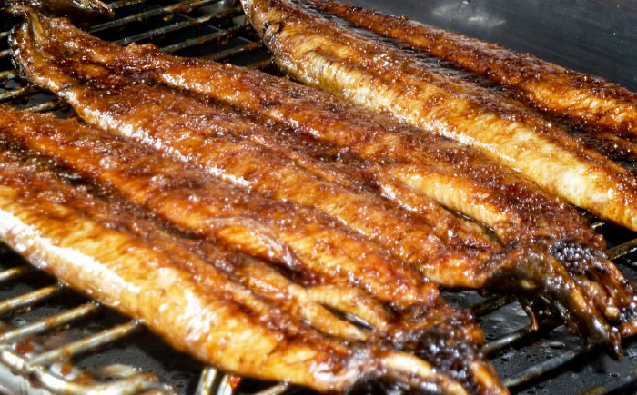 【うなぎの美味しさはタレで決まる！】自慢の味・国産活うなぎ蒲焼（4本入）| うなぎ タレ 蒲焼 国産 美味しい うな丼 鰻重 魚 島根県雲南市/有限会社石田魚店 [AICQ010]