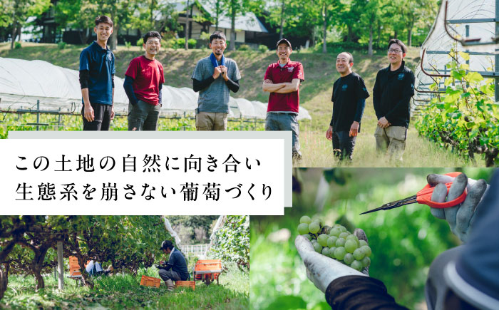 奥出雲葡萄園　シャルドネアンウッディッド（白ワイン） 島根県雲南市/有限会社　奥出雲葡萄園[AICS055]