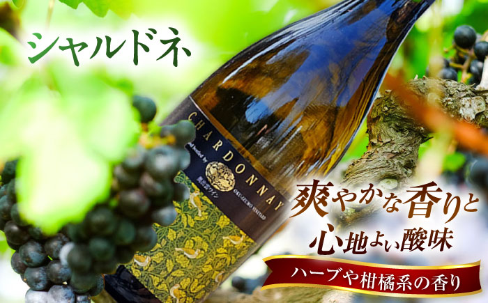 【家庭用】飲み比べセット カベルネロゼ×シャルドネ 750ml×各1本 計2本 ワイン お酒 ぶどう 島根県雲南市/有限会社奥出雲葡萄園 [AICS087]