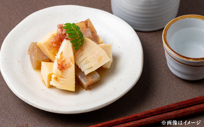 素材の「素顔」を、美しく引き立てる。うすくち醤油500ml×2本│調味料 醤油 しょうゆ うすくち 和食 ギフト 島根県雲南市/有限会社紅梅しょうゆ [AICV023]