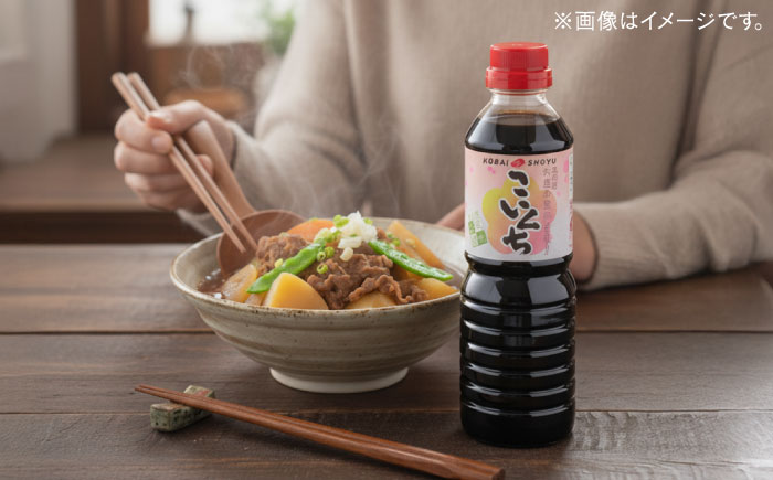 【ふるさと納税限定】【全3回定期便】基本からアレンジまで調味料バラエティセット 調味料 だし かつおだし 醤油 しょうゆ こいくち みりん ギフト 詰め合わせ お歳暮 島根県雲南市/有限会社紅梅しょうゆ [AICV039]