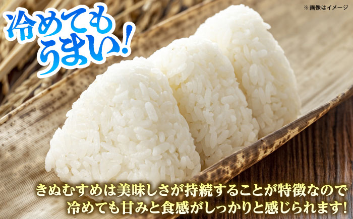 【全3回定期便】【特A】雲南市産きぬむすめ 5kg  [AIDB102]