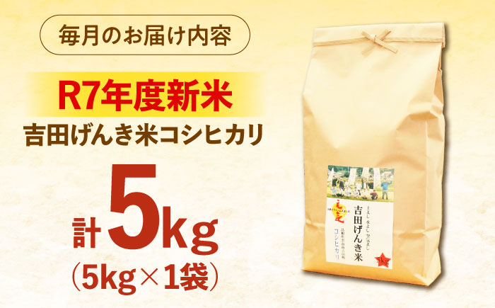 【全3回定期便】【新米】吉田げんき米コシヒカリ 5kg 島根県雲南市/有限会社藤本米穀店 ｜こしひかり 白米 精米 コメ 5キロ [AIDB120]