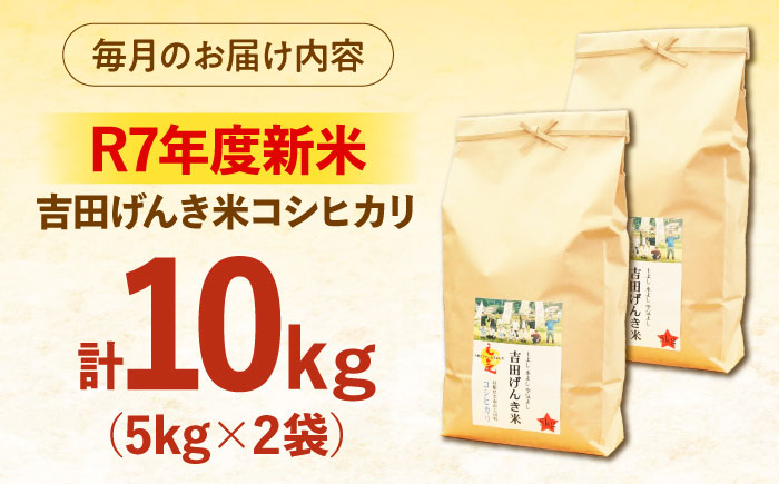 【全3回定期便】【新米】吉田げんき米コシヒカリ 10kg（5kg×2袋） 島根県雲南市/有限会社藤本米穀店 ｜こしひかり 白米 精米 コメ 10キロ [AIDB121]