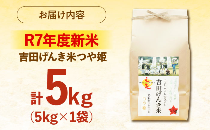 【新米】吉田げんき米つや姫 5kg 島根県雲南市/有限会社藤本米穀店 ｜つやひめ 白米 精米 コメ 5キロ [AIDB123]