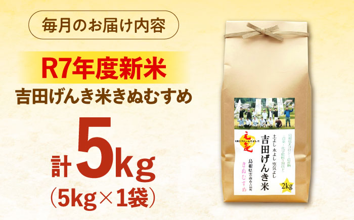 【全3回定期便】【新米】吉田げんき米きぬむすめ 5kg 島根県雲南市/有限会社藤本米穀店 ｜ブランド米 きぬ娘 白米 精米 コメ 5キロ [AIDB132]