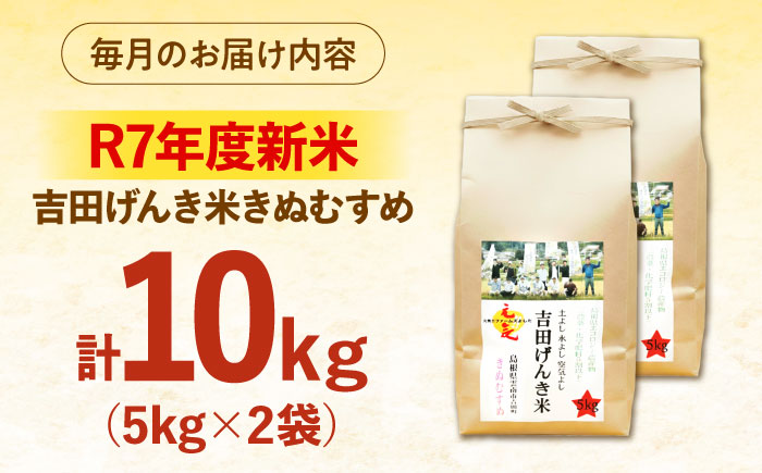 【全3回定期便】【新米】吉田げんき米きぬむすめ 10kg（5kg×2袋） 島根県雲南市/有限会社藤本米穀店 ｜ブランド米 きぬ娘 白米 精米 コメ 10キロ [AIDB133]