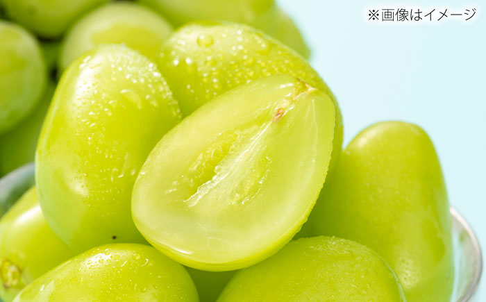 【先行予約】【8月中旬より順次発送】【50個限定】【贈答用】シャインマスカット2房 / シャインマスカット 果物 フルーツ ギフト 新鮮 /　島根県雲南市　/ 寿ぶどう縁 [AIEM002]