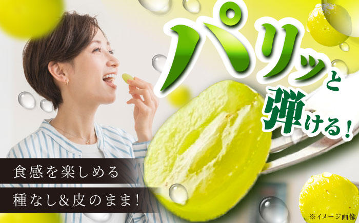 【2025年先行予約】【8月初旬頃から順次発送】皮ごと食べれる！シャインマスカット 2房 約800g 島根県雲南市/池田ぶどう農園　 [AIAA002]