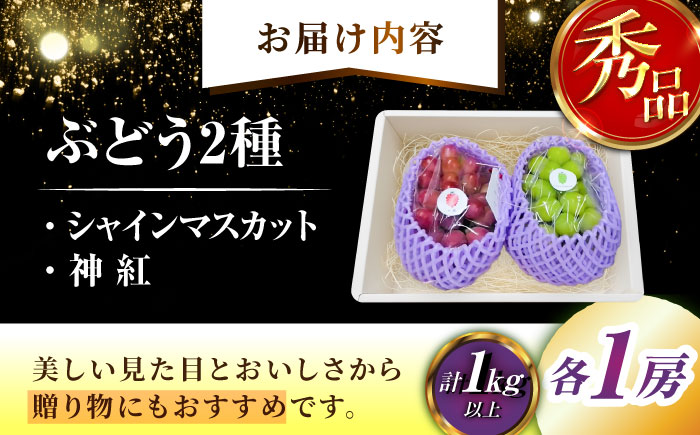 【2026年先行予約】【8月初旬頃から順次発送】【秀品】神紅・シャインマスカット 各1房 計1kg以上 島根県雲南市/池田ぶどう農園 フルーツ 果物 ぶどう セット 食べ比べ 贈答用 　 [AIAA004]