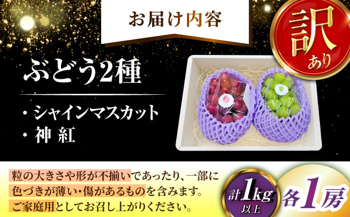 【2026年先行予約】【8月初旬頃から順次発送】【訳あり】神紅・シャインマスカット 各1房 計1kg以上 島根県雲南市/池田ぶどう農園 フルーツ 果物 ぶどう セット 食べ比べ 家庭用 [AIAA005]