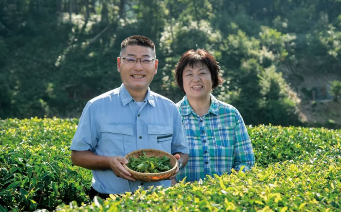 【全2回定期便】奥出雲の美味しいお茶のおやつセット（お茶アイス9個・茶ロールケーキ3本・茶団子5串×2）お茶 アイス アイスクリーム ロールケーキ お団子 和スイーツ 詰め合わせ 食べ比べ ギフト お土産 島根県雲南市/株式会社藤原茶問屋 [AIAY013]