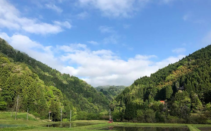 杵つきまるもち 540g 3袋セット（30個 島根県雲南市/株式会社吉田ふるさと村 [AIBB007] 餅 もち お正月
