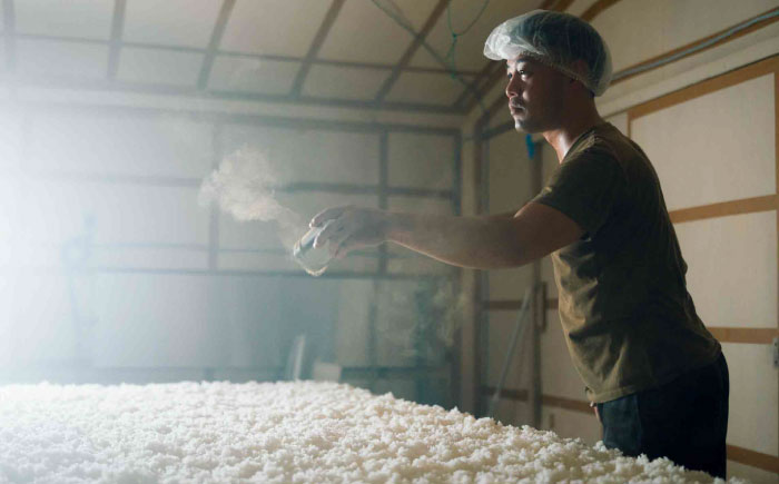 【先行予約】【10個限定】【2026年2月初旬順次発送】理八 The RIHACHI 純米吟醸 酵母901号＆酵母1801号 720ml×2本セット(化粧箱入り) 日本酒 酒 4合 島根県雲南市/株式会社田部竹下酒造 [AIBE001]