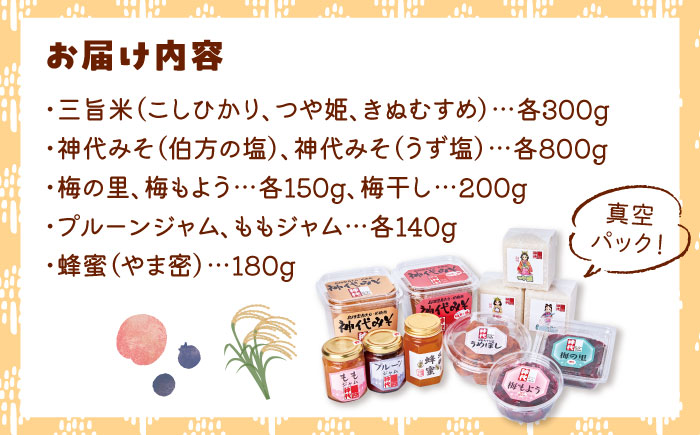 ３種の米を食べ比べ! 「やま里の恵み」詰合セット 米 こしひかり つや姫 きぬむすめ 梅 味噌 ジャム はちみつ 島根県雲南市/農事組合法人フレッシュファーム神代 [AICC002]