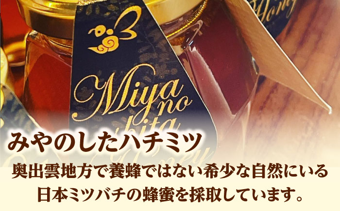 希少な天然日本ミツバチの「はちみつ」 400ml×1個 島根県雲南市/みやのしたハチミツ｜蜂蜜 国産 はちみつ ハチミツ[AICL002]
