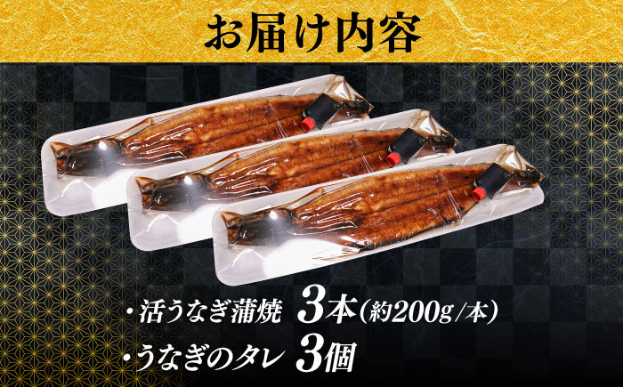 【うなぎの美味しさはタレで決まる！】自慢の味・国産活うなぎ蒲焼（3本入）| うなぎ タレ 蒲焼 国産 美味しい うな丼 鰻重 魚 島根県雲南市/有限会社石田魚店 [AICQ009]