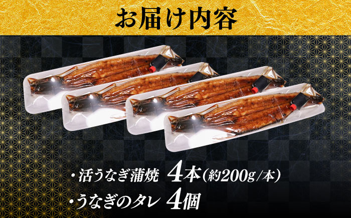 【うなぎの美味しさはタレで決まる！】自慢の味・国産活うなぎ蒲焼（4本入）| うなぎ タレ 蒲焼 国産 美味しい うな丼 鰻重 魚 島根県雲南市/有限会社石田魚店 [AICQ010]
