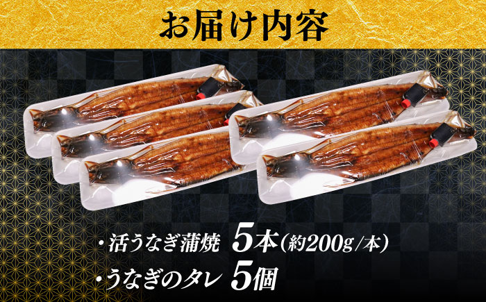 【うなぎの美味しさはタレで決まる！】自慢の味・国産活うなぎ蒲焼（5本入）| うなぎ タレ 蒲焼 国産 美味しい うな丼 鰻重 魚 島根県雲南市/有限会社石田魚店 [AICQ011]