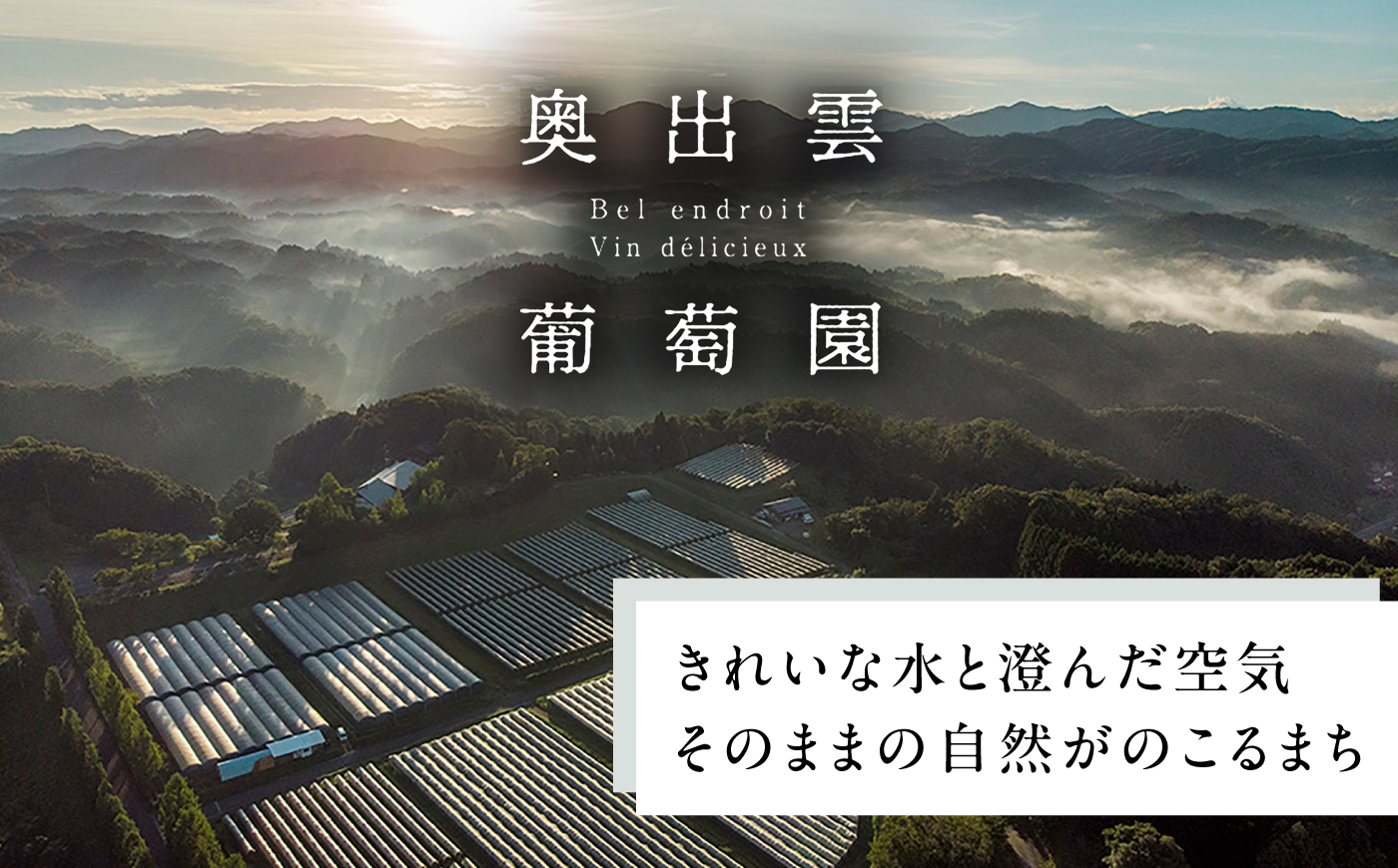 奥出雲ワイン メルロ 1本 750ml 赤ワイン 国産 島根県雲南市/有限会社奥出雲葡萄園 [AICS094]