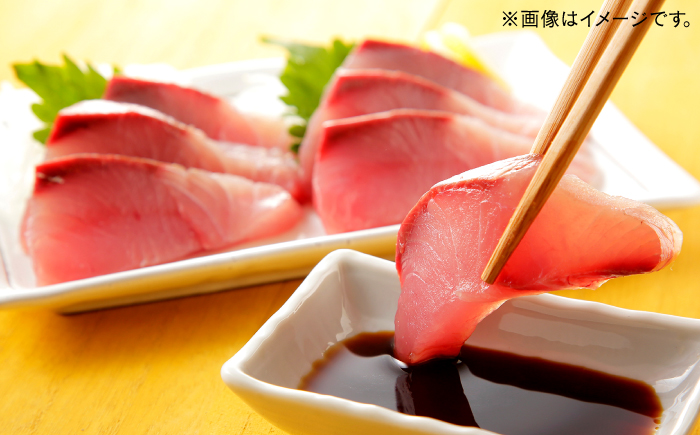 釣りキチ醤油 3本セット  | 贈答用 お土産 美味しい 料理 料理用 島根県雲南市/有限会社紅梅しょうゆ [AICV002]